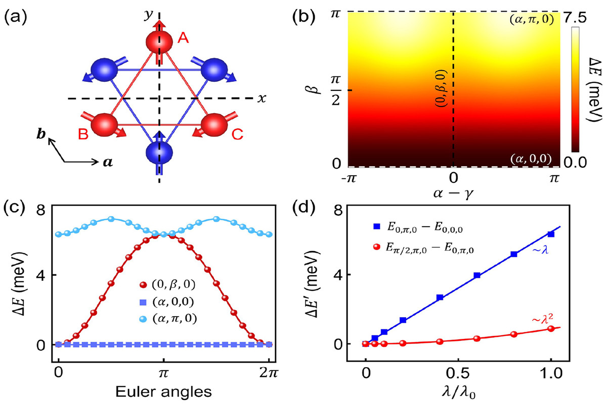 近代物理系召开党总支换届选举大会