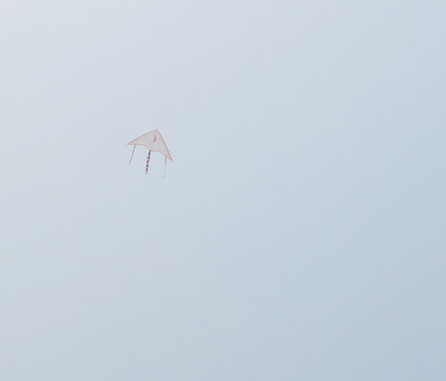 风筝节照片5.jpg