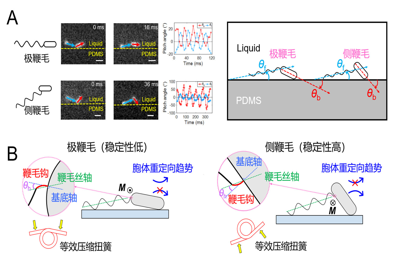 近代物理系召开党总支换届选举大会