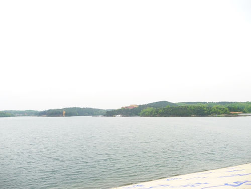 image5.jpg