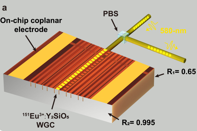 近代物理系召开党总支换届选举大会